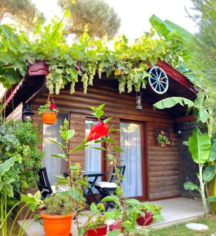 Alacati Kayezta Hotel Εξωτερικό φωτογραφία